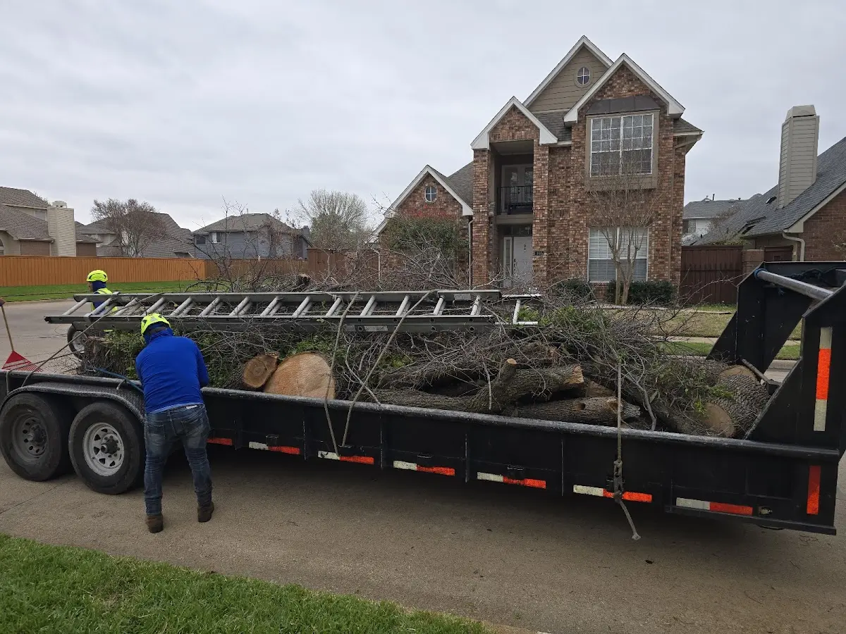 Expert Tree Fertilization with proper safety equipment in Emmitsburg